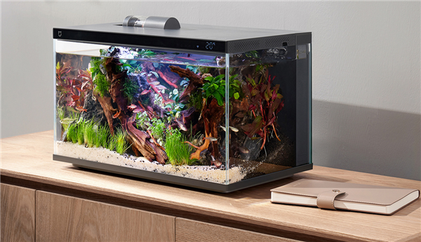 399元 小米首款米家智能鱼缸开售：半年免换水、远程自动喂鱼