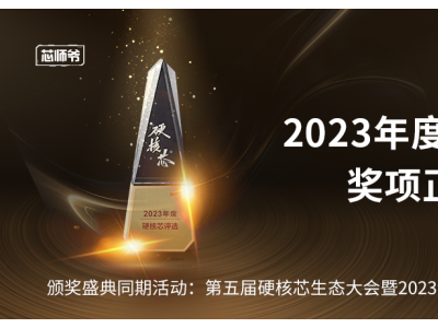 芯瞳荣获-2023年度硬核中国芯·最具潜力IC设计企业