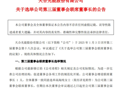 93后高海纯接任400亿巨头联席董事长，助力企业转型新赛道