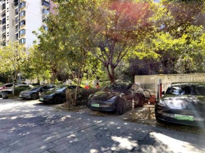 春节自驾新能源车高速充电实测：充电网点压力几何？