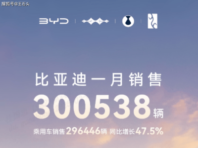 比亚迪2025首月销量突破30万，蝉联冠军，新能源布局显成效！