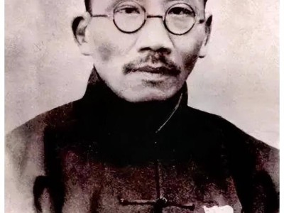普陀鹅耳枥：从“地球独子”到繁星之旅，它的重生之路