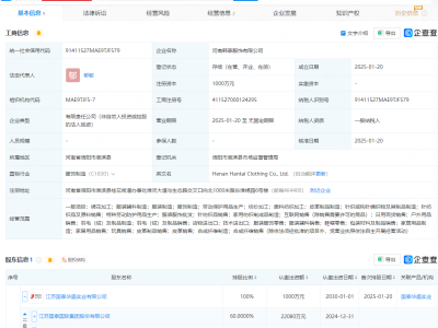 江苏国泰全资控股新服饰公司，业务覆盖绣花加工及玩具销售