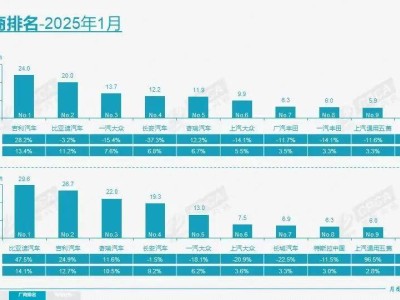2025年谁主沉浮？四家车企已占中国车市半壁江山