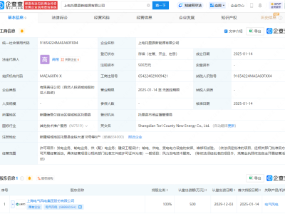电气风电全资控股新公司，涉足风力发电技术服务及多项能源业务