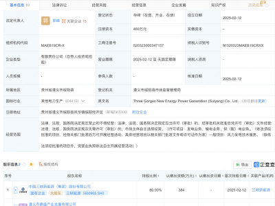 三峡能源等成立新公司，含风力发电技术业务