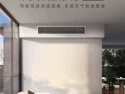 小米格力再交锋，董明珠强化个人IP能否带领格力转型？