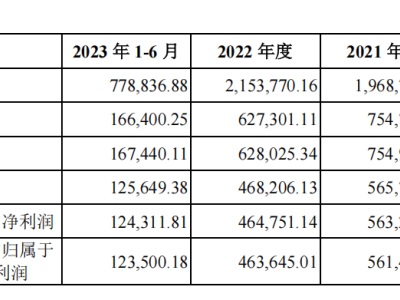 南航物流主板IPO进程终止，航空物流巨头上市之路遇阻