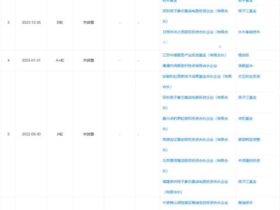 电池巨头安孚科技助力，重庆GPU独角兽象帝先重获新生？