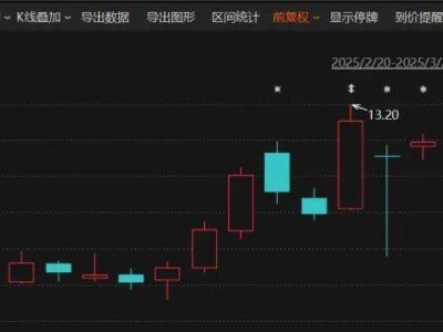 百亿玉龙股份主动退市，2025年A股首单来了？