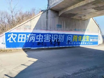 腾讯元宝搭上DeepSeek快车，大模型超车之路有何秘诀？