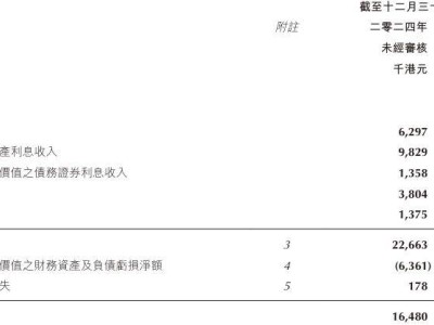 新华汇富金融2024年收入增长709.43% 亏损减少15.90%