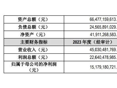 硅料龙头永祥股份引入百亿战投，能否助力穿越产能过剩寒冬？