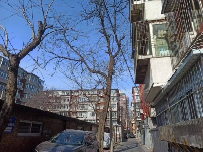 法拍房背后的故事：有人勇敢“捡漏”，有人无奈“卧底”探秘