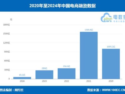 ：《2024年度中国电子商务投融资数据报告》发布