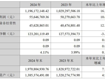 通源石油2024年报：营收创新高 清洁能源与CCUS业务成新引擎