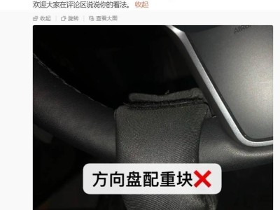 特斯拉陶琳呼吁：停售违规安全配件，驾驶安全不容“骗”过！