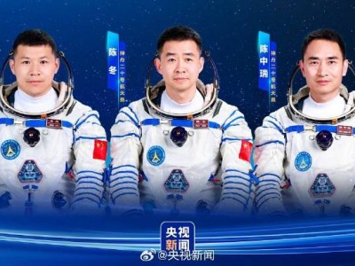 神二十航天员阵容揭晓：陈冬领衔，陈中瑞、王杰首飞在即！