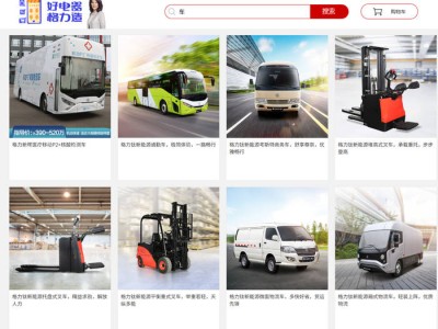 董明珠力挺格力钛：十几年无火灾，但电商售价仅为官方指导价四成？