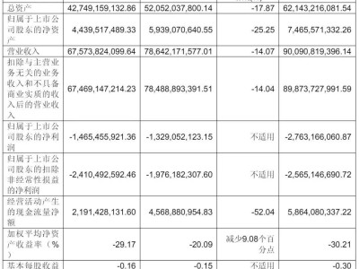 永辉超市2024年业绩下滑，营收降14%扣非净亏损达24亿