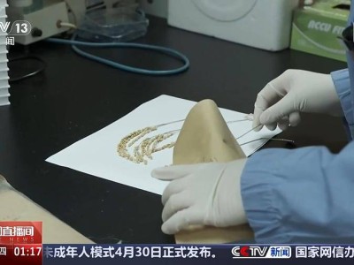 中国空间站：太空实验硕果累累，未来千余项研究蓄势待发