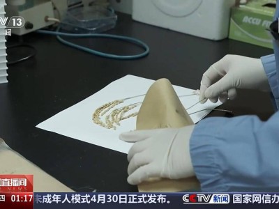 中国空间站：太空实验硕果累累，未来千余项研究蓄势待发！