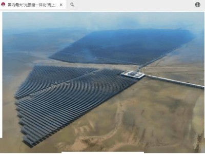 国内首个生态治理型滩涂光伏示范工程全容量并网发电！