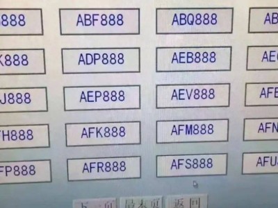 江苏女车主智斗“888”靓号诱惑，理性放弃背后的智慧选择！
