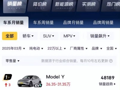 高价电车遇冷，25万成销量分水岭？