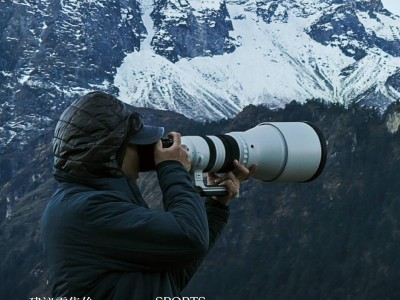 适马300-600mm F4 DG OS镜头国行售价揭晓，近4万元值得入手吗？