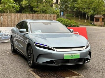 有钱人偏爱电车，普通人坚守油车，买车选择到底该听谁的？