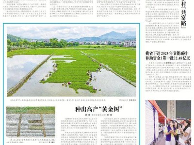 江西2.48亿节能减排补助资金助力县域充换电设施补短板