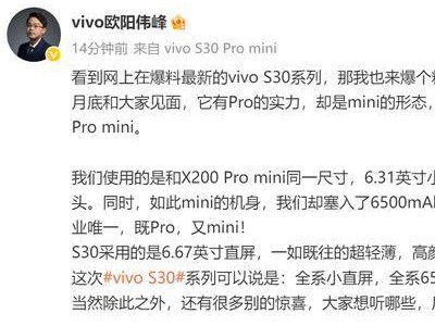 vivo S30 Pro mini曝光：小屏旗舰新选择，6500mAh大电池引关注