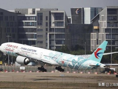 “上博号”彩绘飞机首航，万米高空邂逅古代青铜器艺术