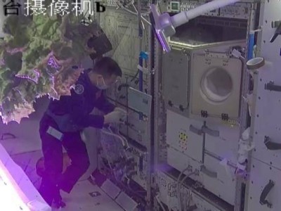 神二十乘组在轨科学实验：探索微重力下的生命奥秘与航天医学新篇章