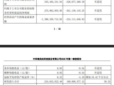 寒武纪2025年加码研发，一季度已实现扭亏为盈