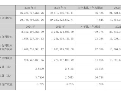 九安医疗2024年业绩揭晓：营收下滑近两成，扣非后净利大增近七成