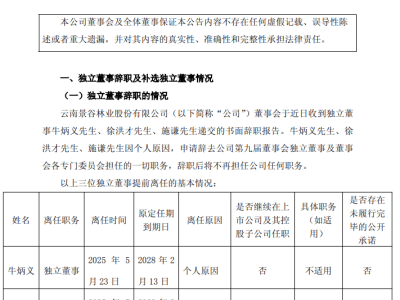 ST景谷困境重重：独立董事集体上任三月即辞，何因？