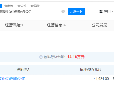 帮700名主播逃税公司成被执行人 帮700名主播逃税公司等被执行14.1万