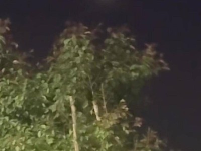 新疆多地夜空现神秘飞行物，目击者：亮如月亮，几秒加速消失