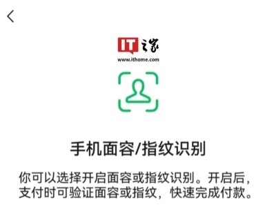 微信鸿蒙版人脸指纹支付慢启，安全考量下的谨慎步伐