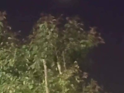 新疆夜空现神秘飞行物，目击者：亮如月亮，突加速消失，气象部门未知情