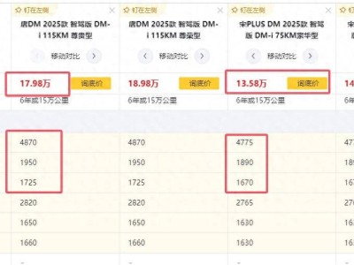 比亚迪唐DMI与宋PLUS差价之谜：不止因为车身大小！
