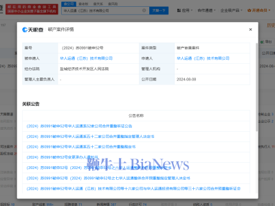 高合汽车新公司成立，母公司华人运通曾陷百亿负债破产重整风波