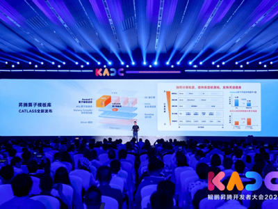 昇腾AI开发者峰会：共筑未来，开启智能时代新篇章