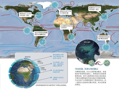 月球消失后，地球将如何应对潮汐消失、气候剧变与生物圈崩溃？