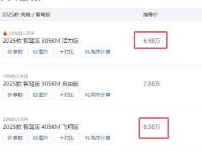 比亚迪海鸥顶配版，为何成为经济实力尚可车主的首选？