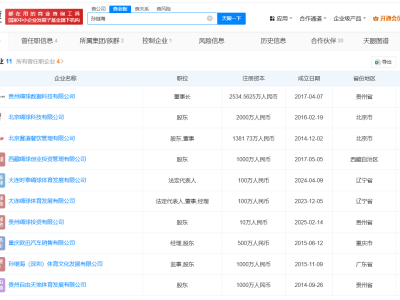 揭秘孙继海足球青训关联公司 孙继海持有嗨球40%股份 起底孙继海商业版图