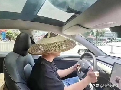 全景天幕虽“烫手”，新能源车企为何仍热衷推广？
