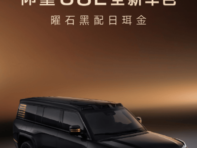 比亚迪仰望U8L新色“曜石黑配日珥金”登场，24K金标彰显奢华